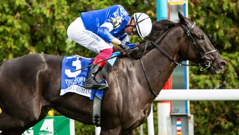 Rebel's Romance, Equibase Leaderboard, Frankie Dettori, Joe Hirsch Turf Classic Stakes, Breeders' Cup Turf, Del Mar, America's Best Racing, horse racing, ABR 